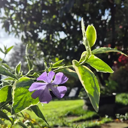 Bed & Breakfast Cascina San Martino Passirano