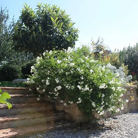 Cascina San Martino